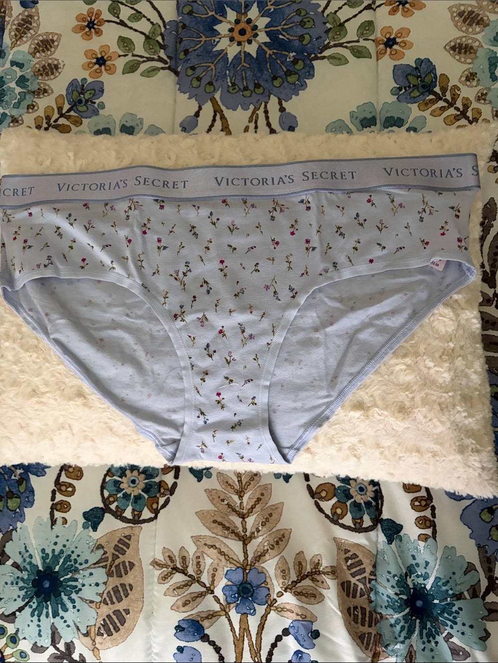 Victoria's Secret Blue hipster Panties with Floral Print XL